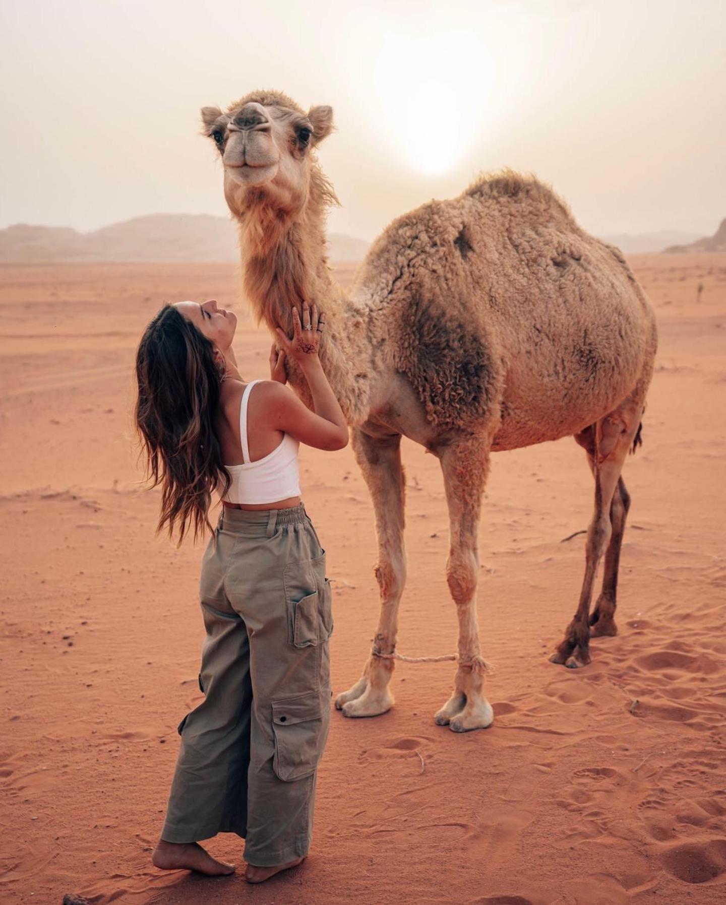 Rum Luxury Camp Wadi Rum Exterior foto